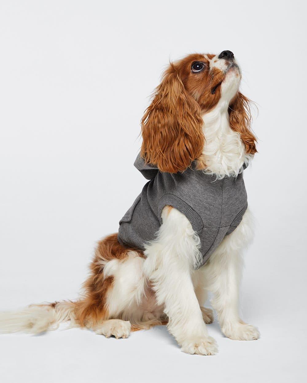 Doggie Skins Doggie 3-End Fleece Hooded Sweatshirt - Image 1