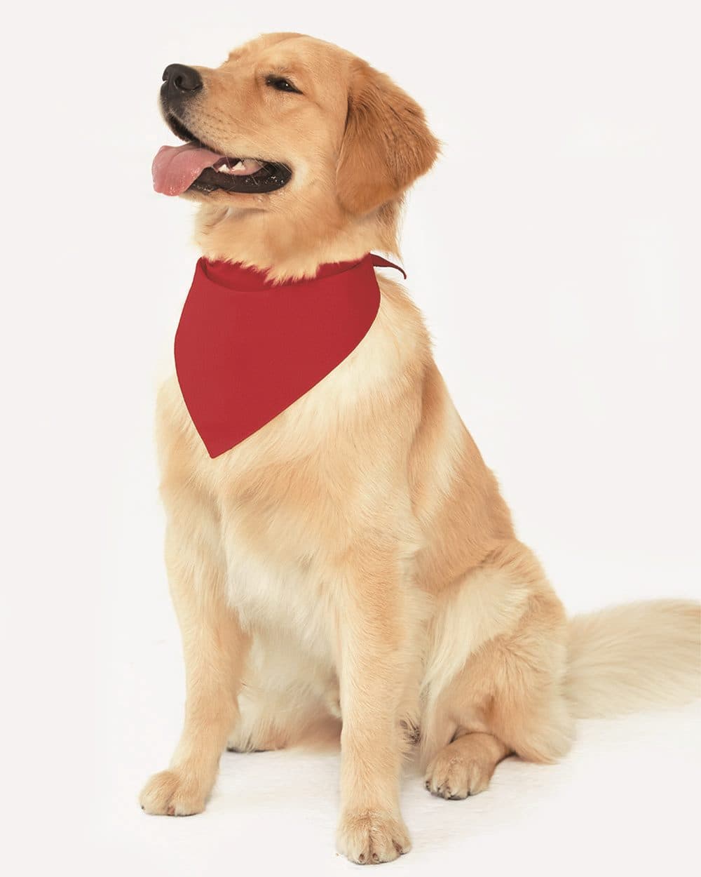 Doggie Skins USA-Made Doggie Bandana - Image 1