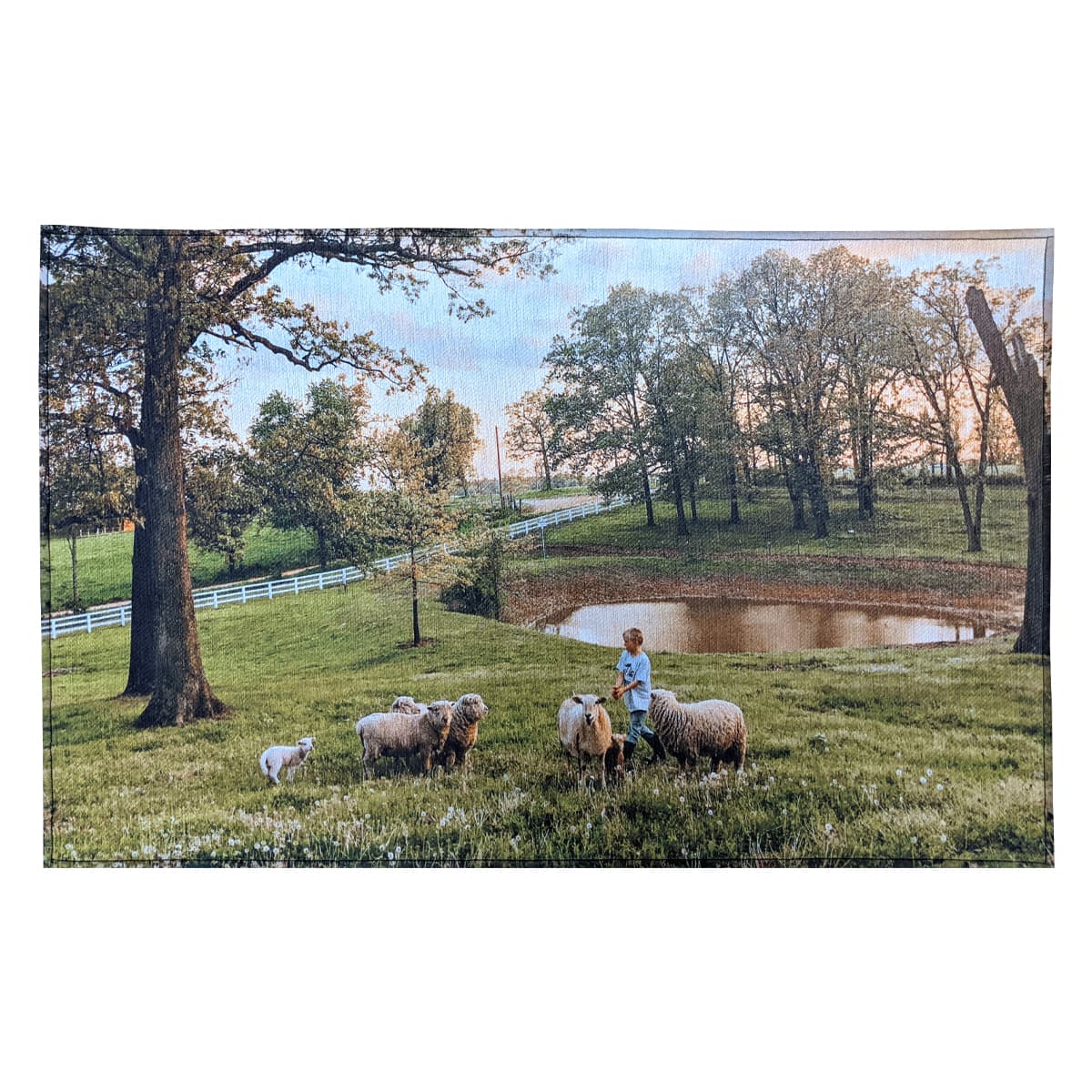20" X 31" Indoor Rug - Image 1