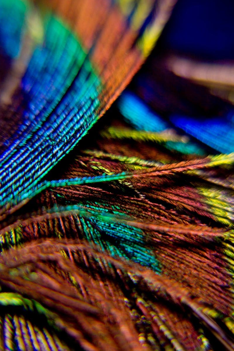 Wrap By The Yard: Bape Camo