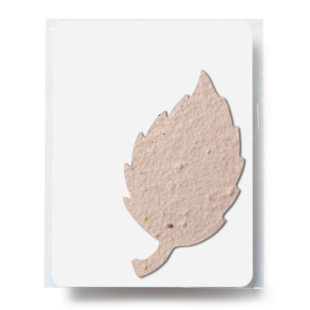 Bloomin® Aspen Shaped Plantable Gift Pack - Image 1