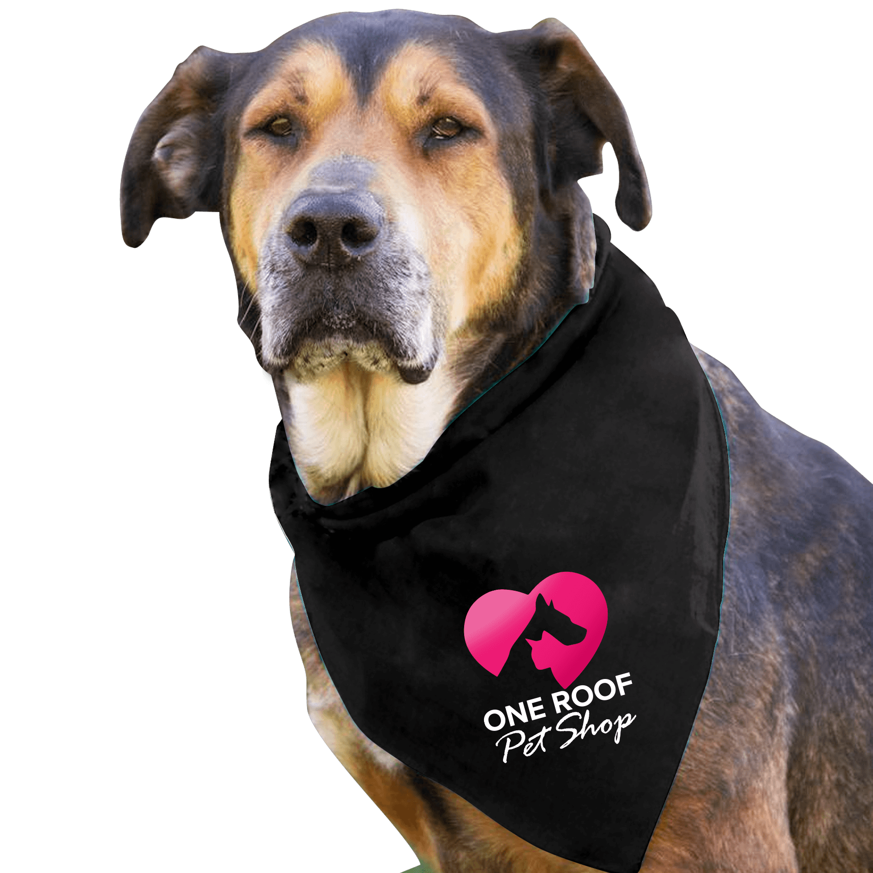 Garyline® Large Triangle Doggie Bandana - Image 1