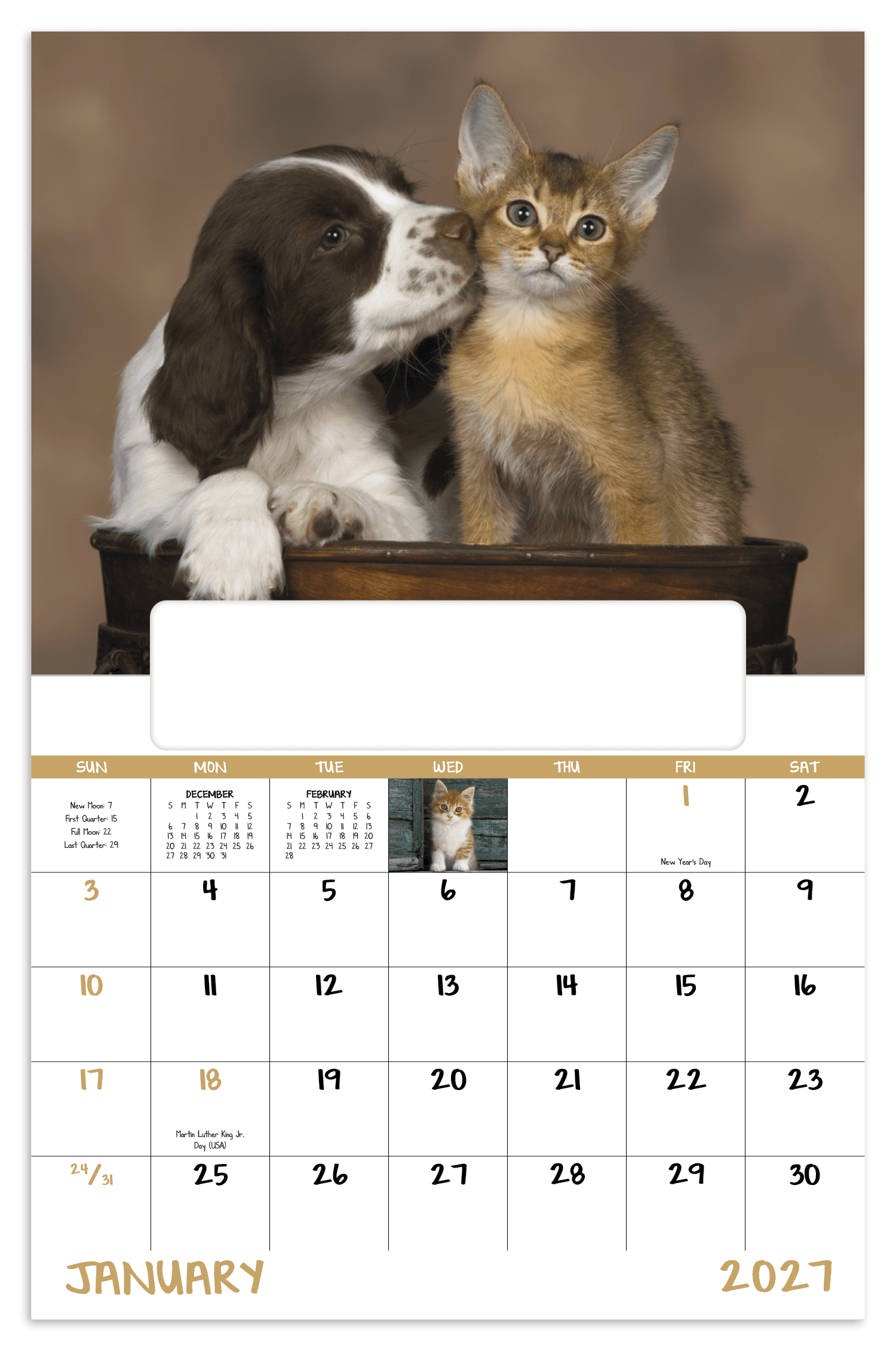 Good Value™ Puppies & Kittens - Window Calendar - Image 1