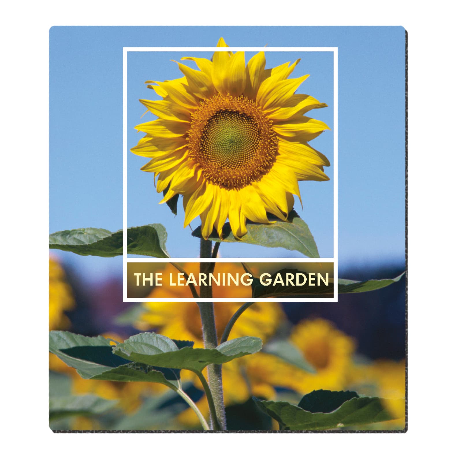 Good Value™ Ultra Thin Firm Mouse Pad (7-1/2" x 8-1/2") - Image 1