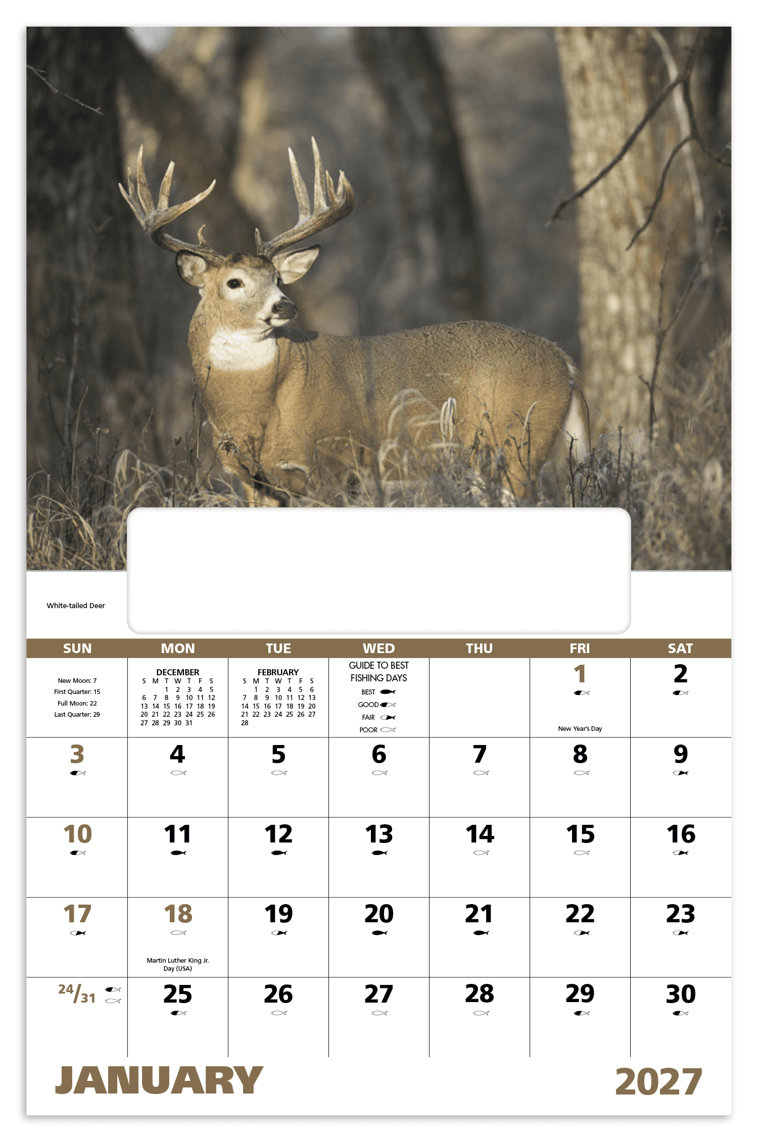 Good Value™ Wildlife Portraits - Window Calendar - Image 1