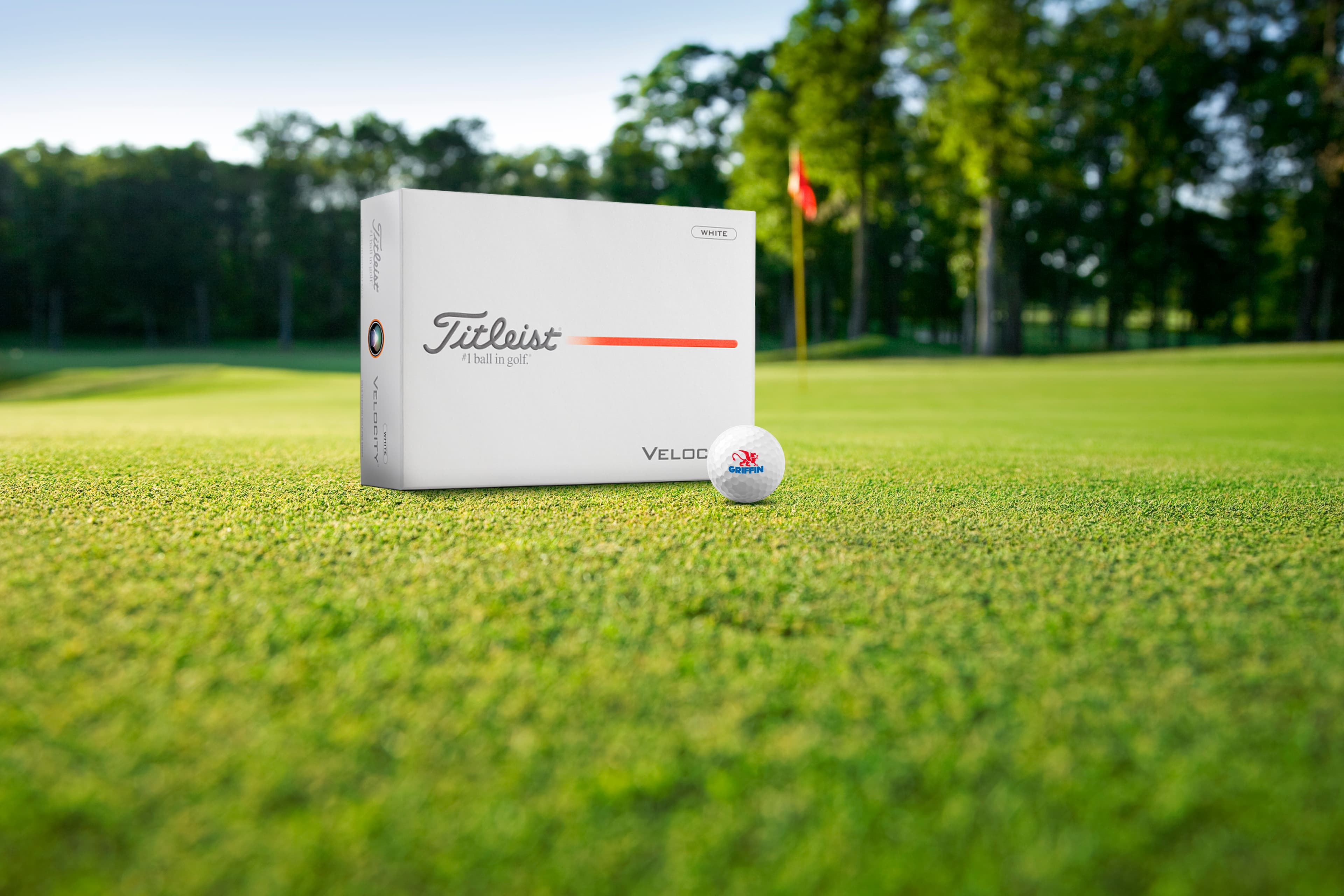 Titleist® Velocity Golf Ball Std Serv