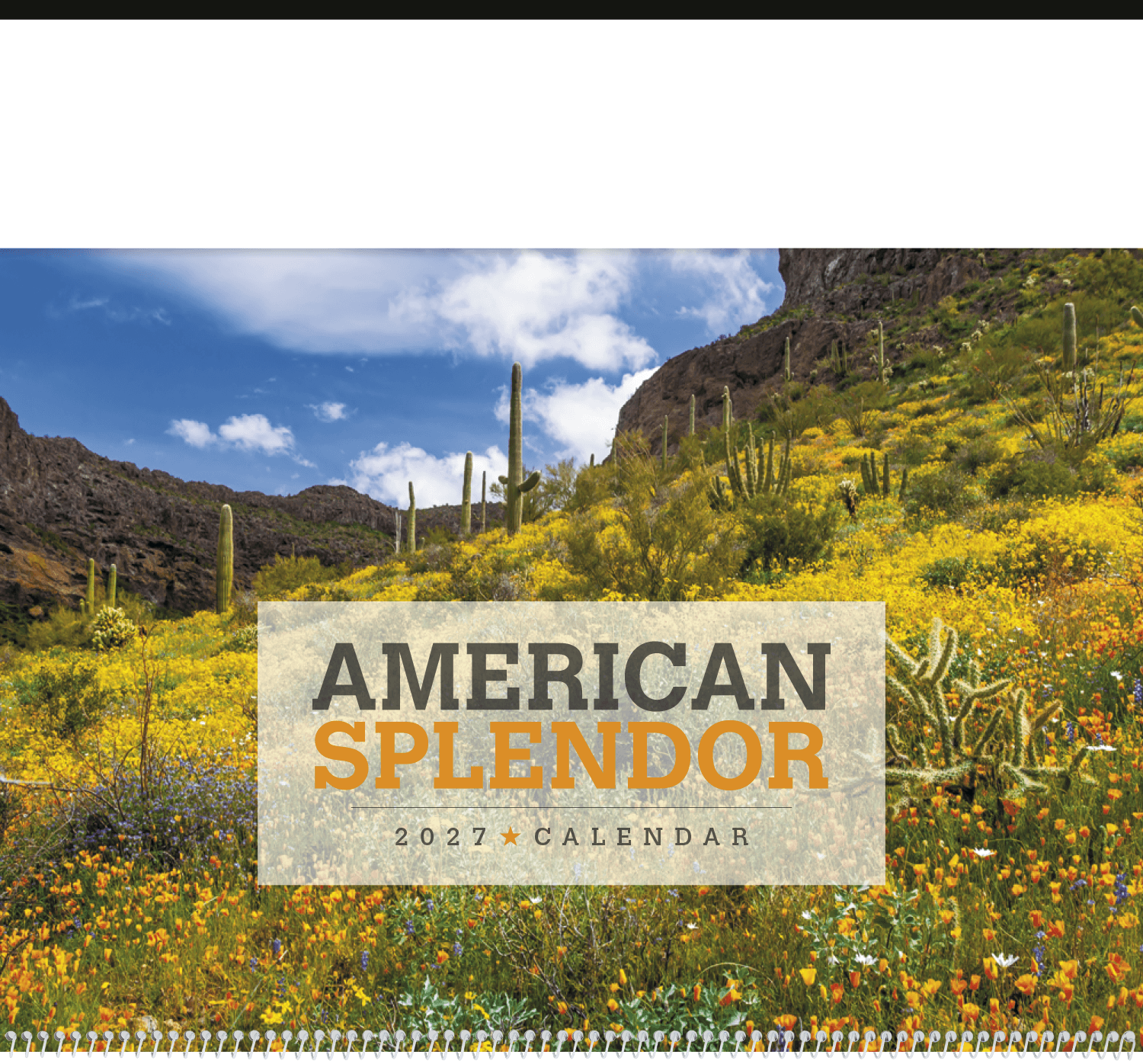 Triumph® Calendars American Splendor Calendar - Image 1