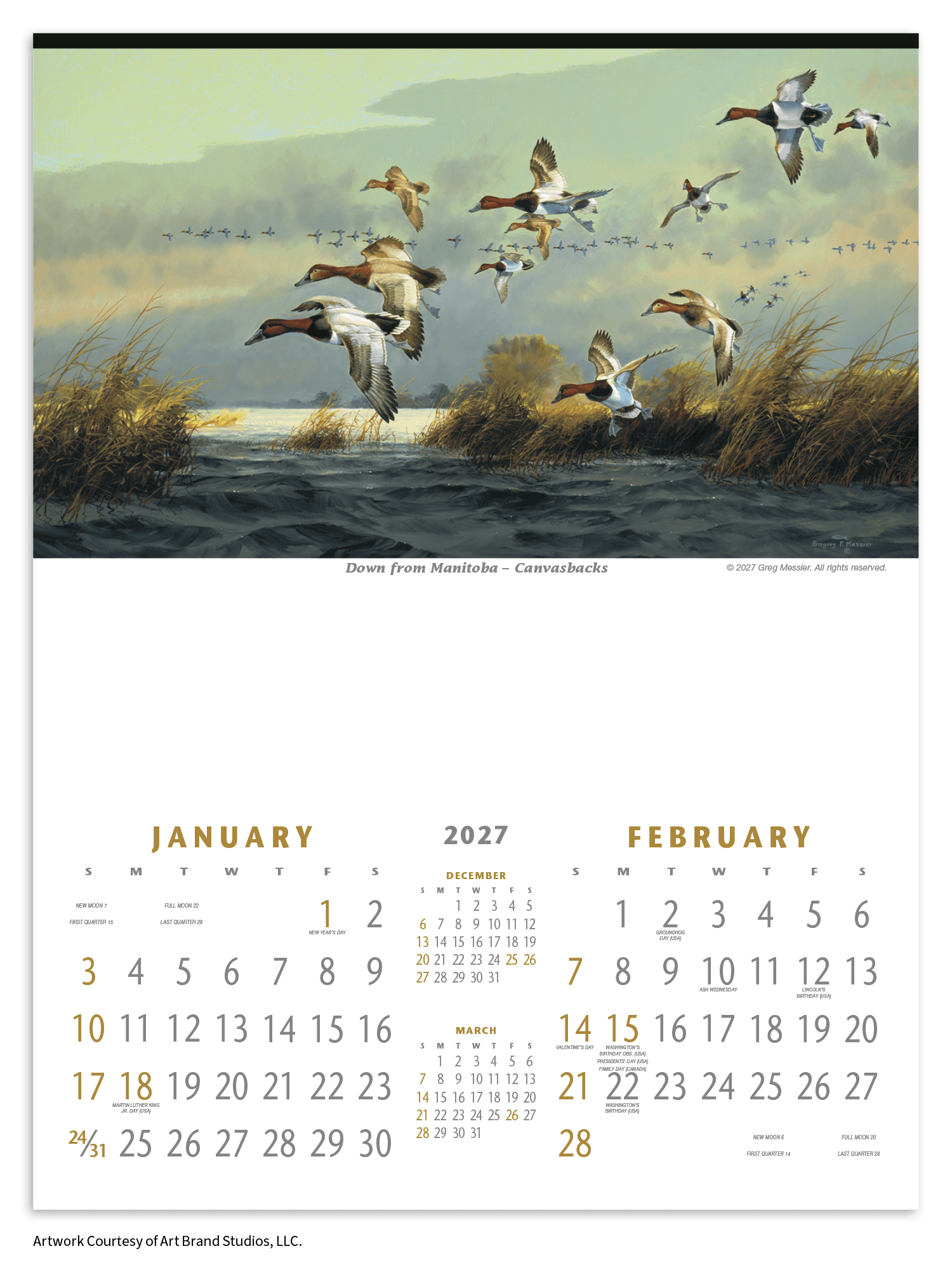 Triumph® Calendars North American Waterfowl Calendar - Image 1