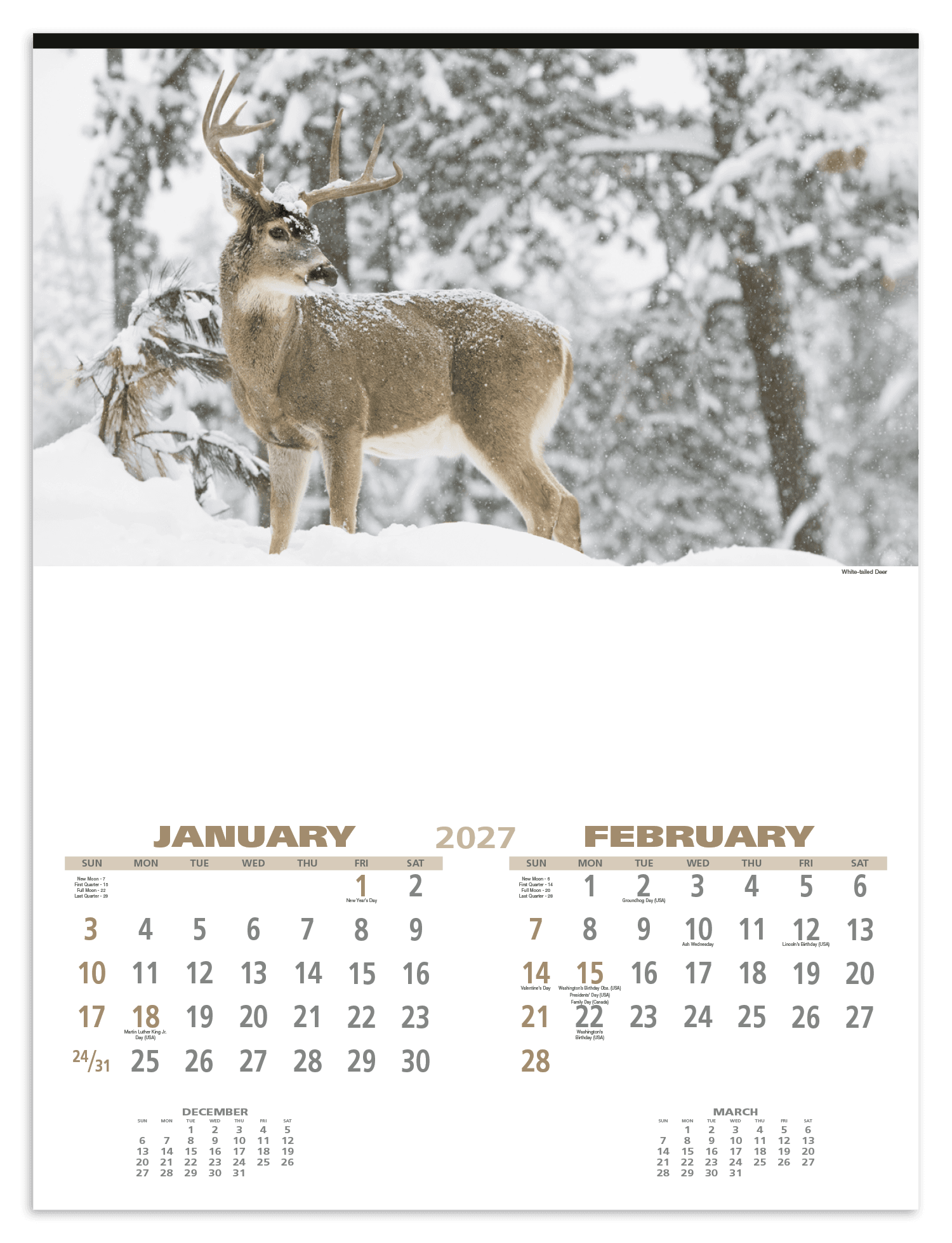 Triumph® Calendars Wildlife Calendar - Image 1